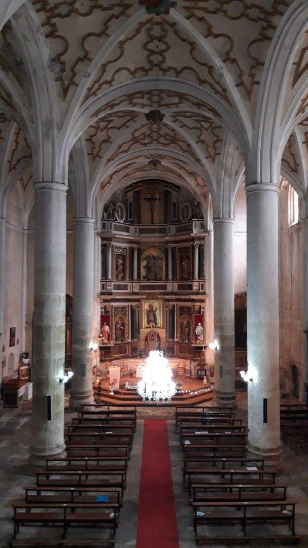 Fotografía de la galería de imágenes con id: 887
